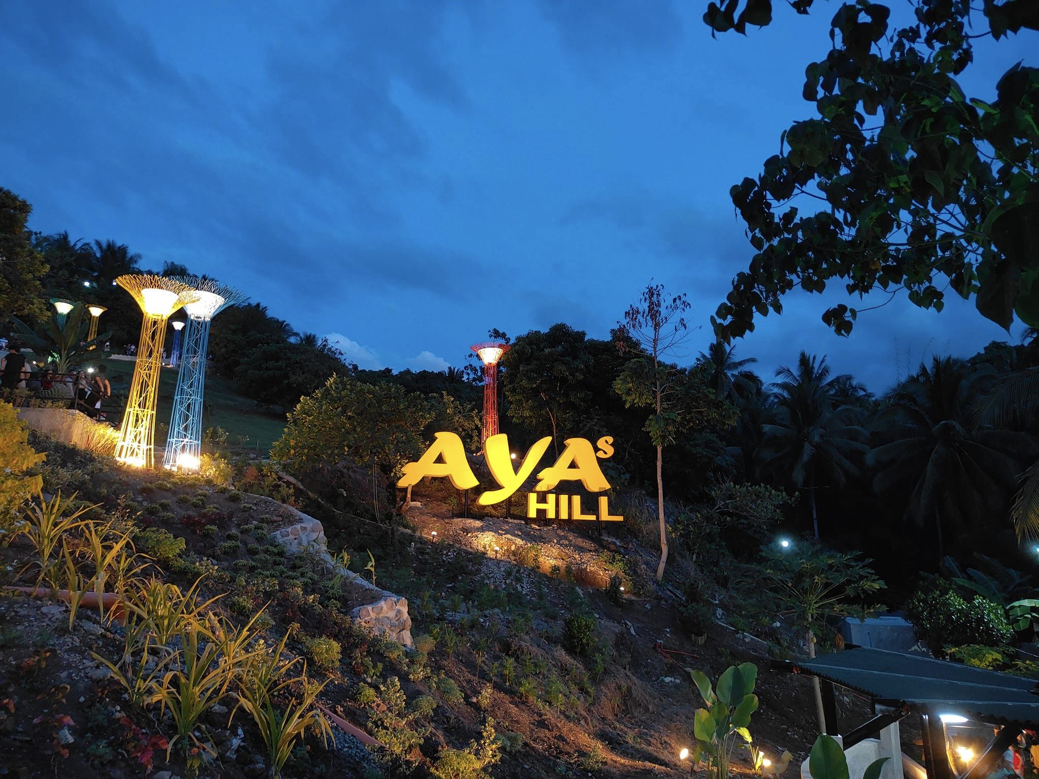 Aya's Hill